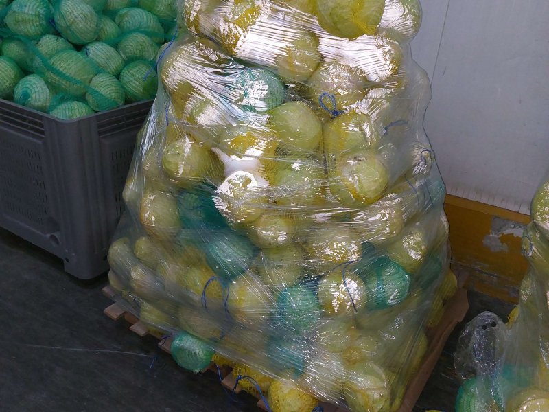 Attention! This is not a good way of palletizing cabbages. Photo by WUR