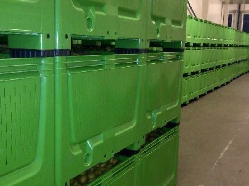 Plastic stacking bin. Photo by WUR