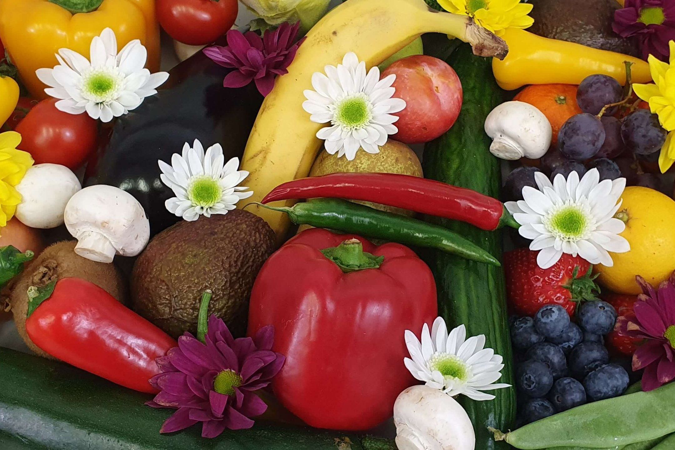 About FreshKnowledge