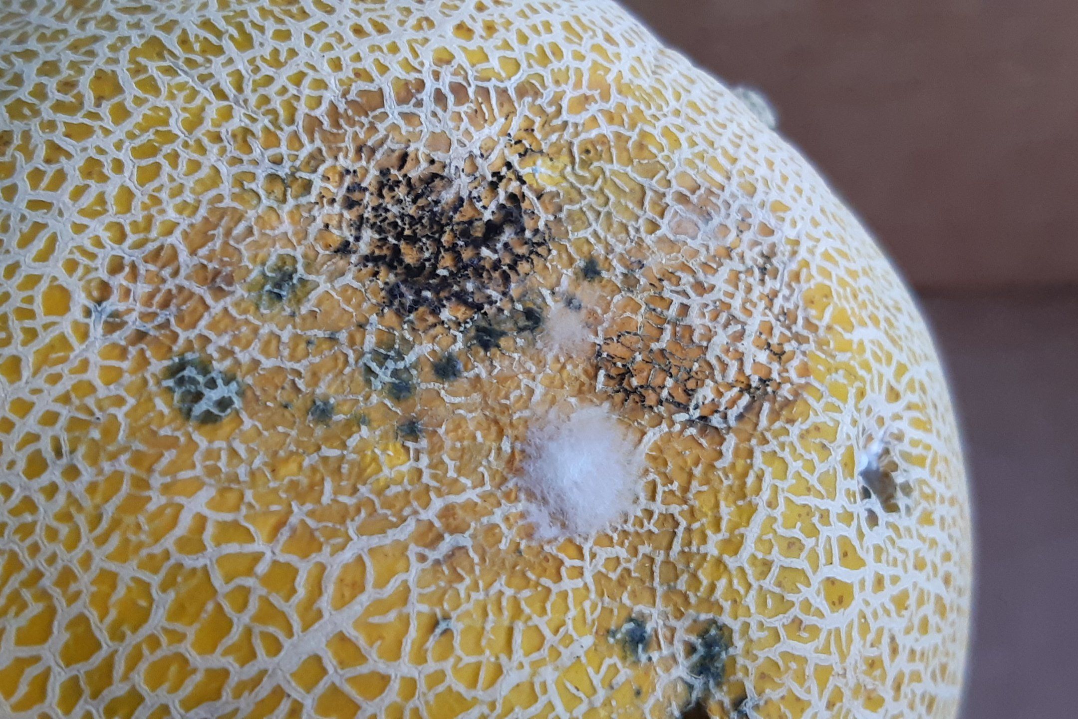 Analysis of disorders and diseases