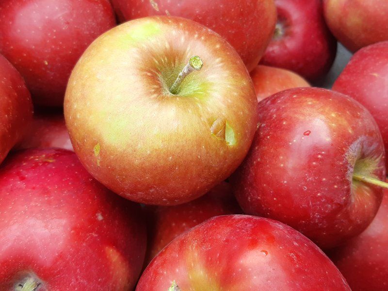 Apple disorders and diseases
