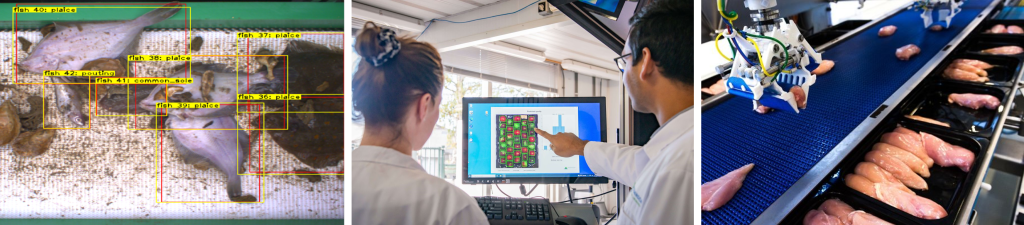 Artificial Intelligence in the Food Domain