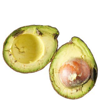 Avocado disorder and diseases