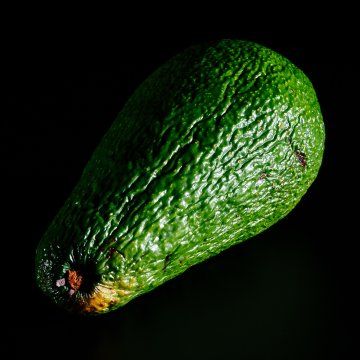 Avocado disorder and diseases