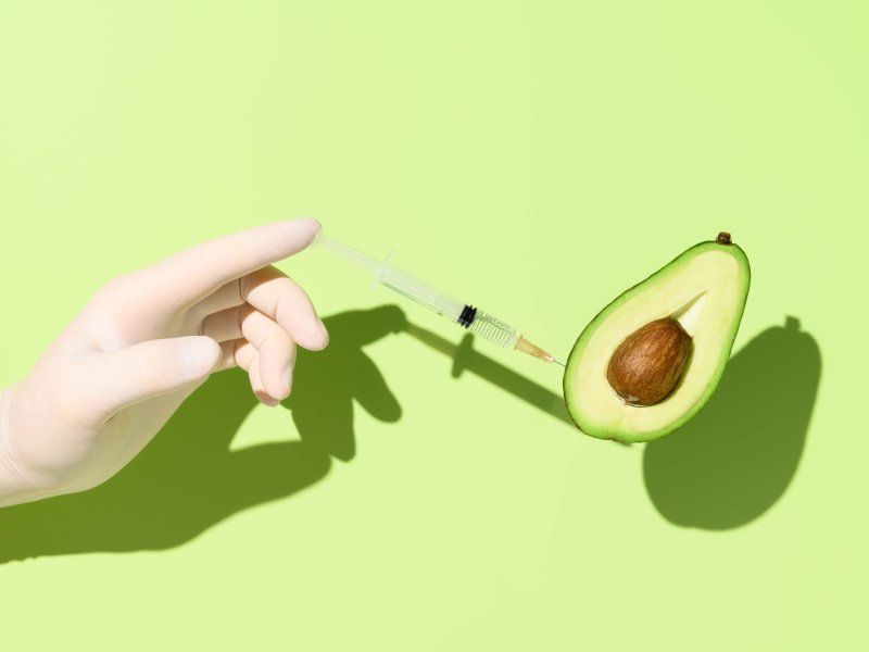 Avocado disorder and diseases