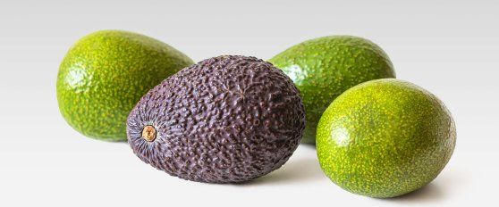 Avocado quality