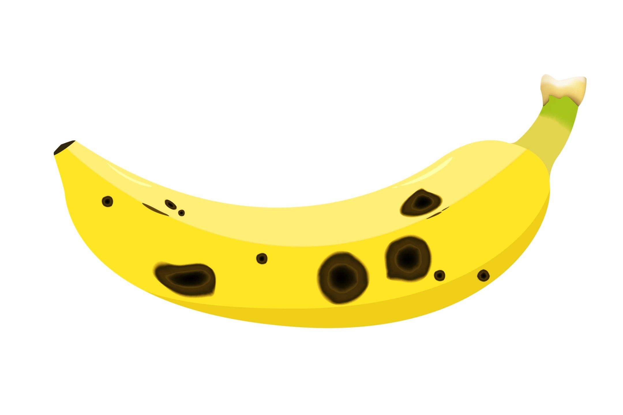 Banana disorders and diseases