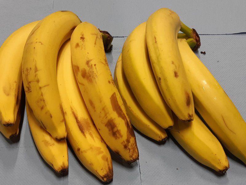 Banana disorders and diseases