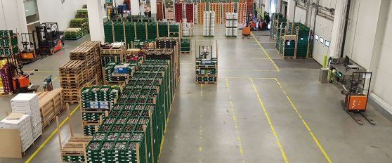 Blockchains and SOPs