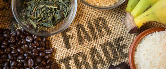 Blockchains and SOPs