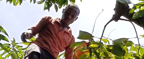 Blockchains and SOPs