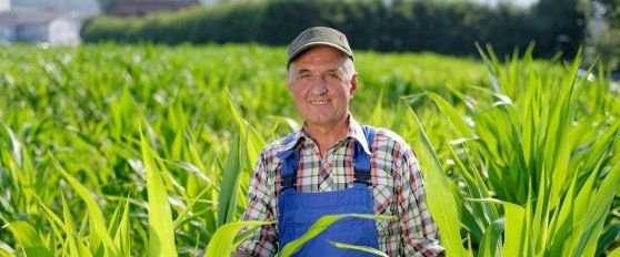 Blockchains and SOPs