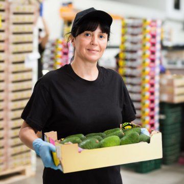 Blockchains and SOPs