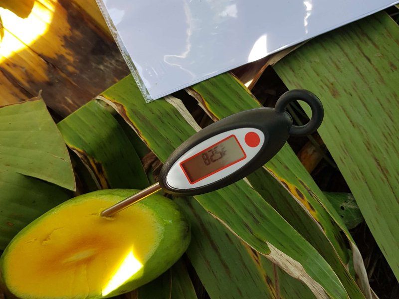 Blockchains and SOPs