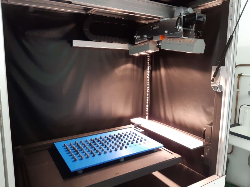 Blueberry Quality in the Chain