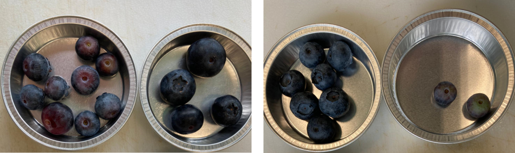 Blueberry quality management