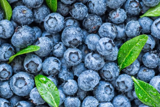 Blueberry quality management