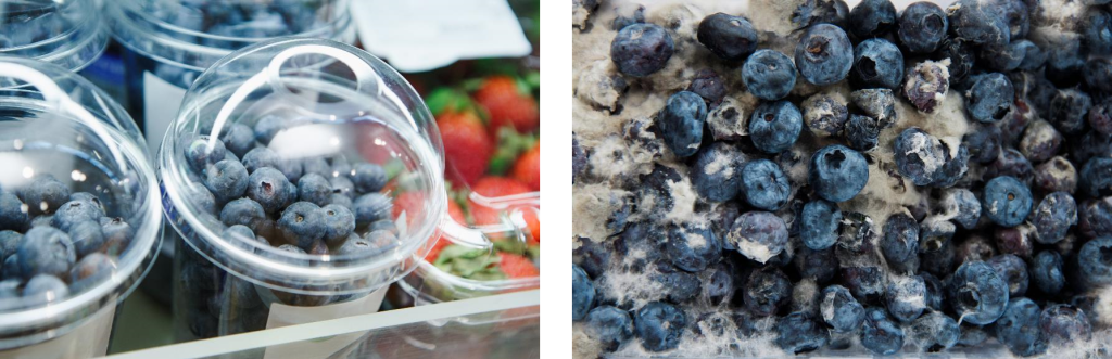 Blueberry quality management