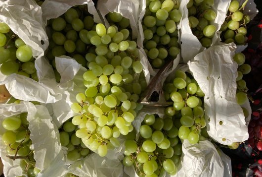 Botrytis suppression in grapes