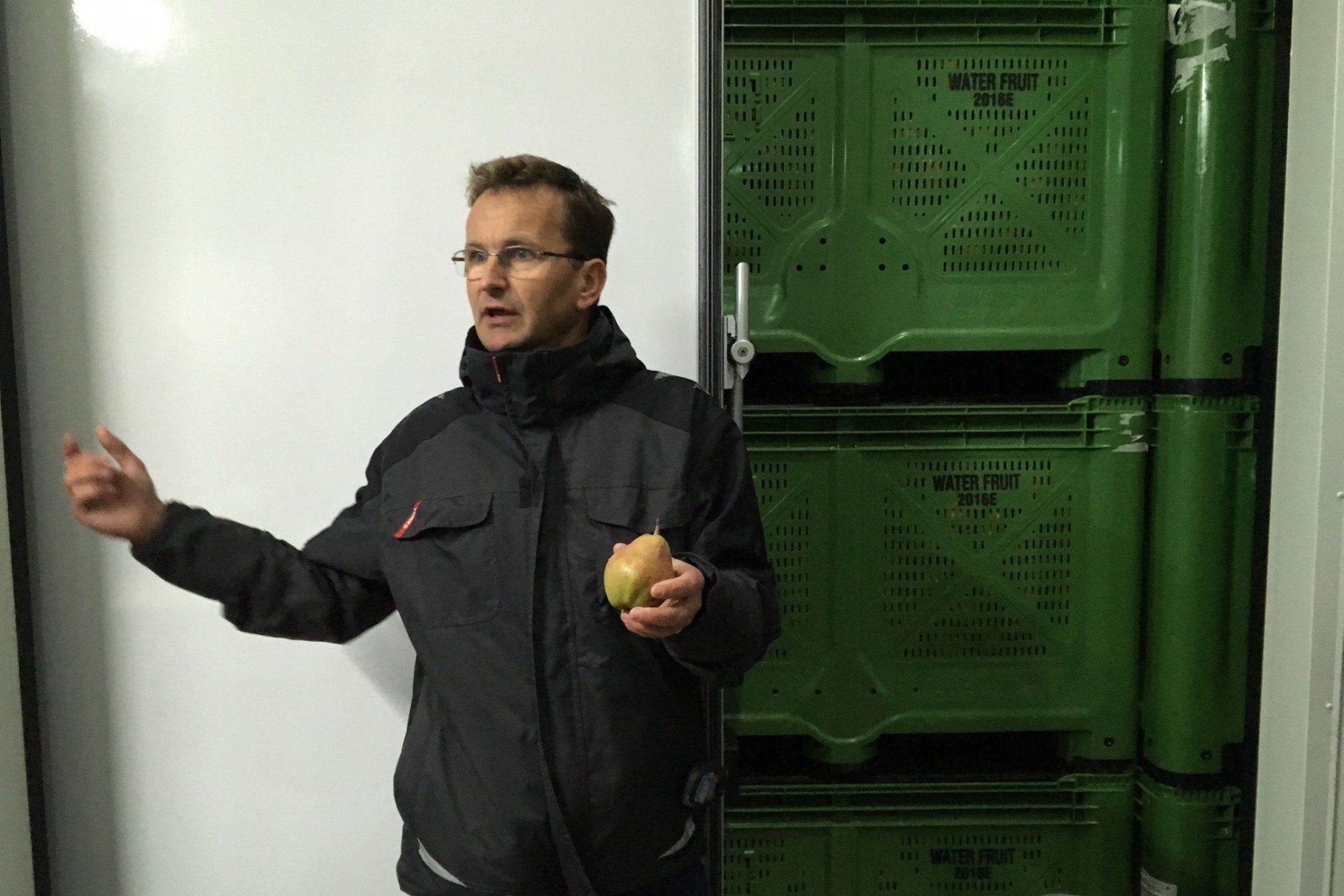 Cold storage of fresh fruit