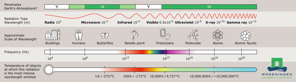 Colour of Fruits and Vegetables