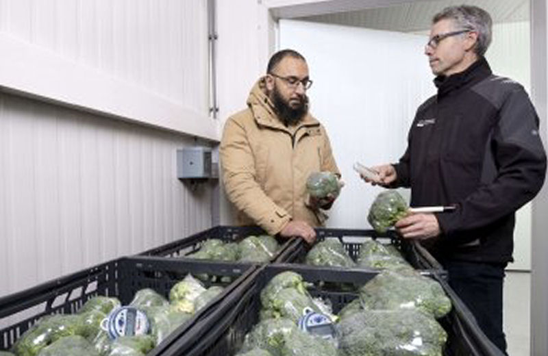 We help you make good decisions that work in practice.