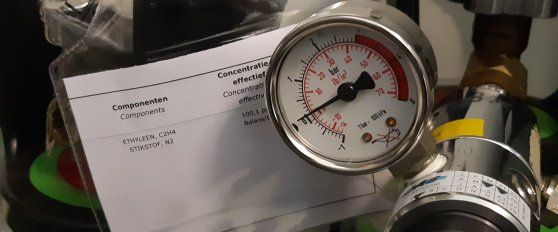 Controlled ripening of bananas