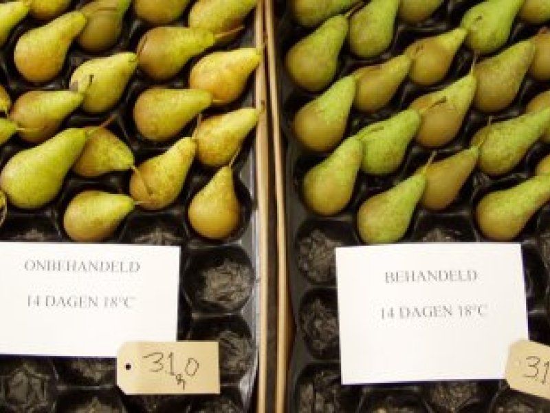 Dealing with ripening and ethylene