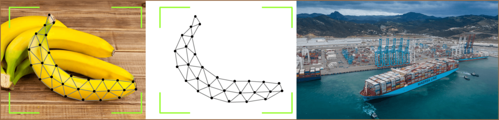 Digital Twins and Innovative Twins in Supply Chains