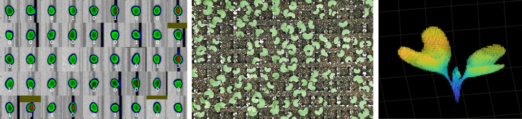 Digital Twins and Innovative Twins in Supply Chains