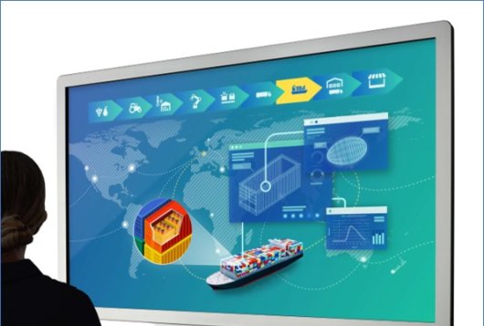 Digital Twins and Innovative Twins in Supply Chains