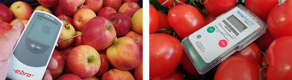 Digital Twins and Innovative Twins in Supply Chains