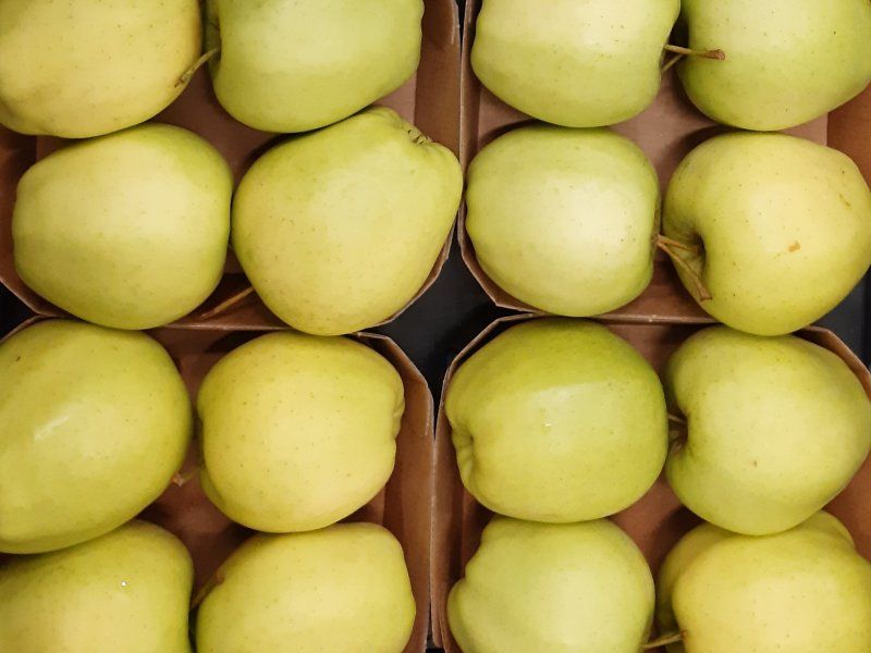 Doing quality measurements