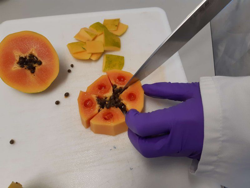 Doing quality measurements