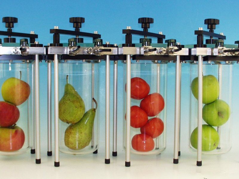 Handling living products