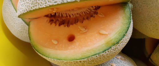 Harvest practices for melon