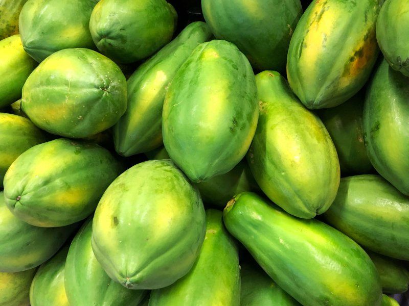 Harvest practices for papaya
