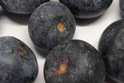 How to control water loss of horticultural produce during storage