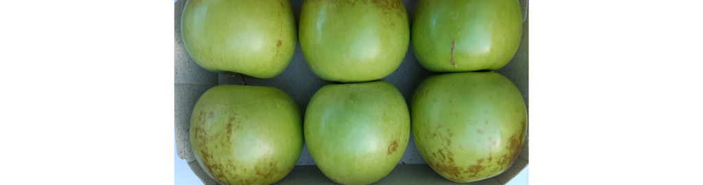 How to control water loss of horticultural produce during storage