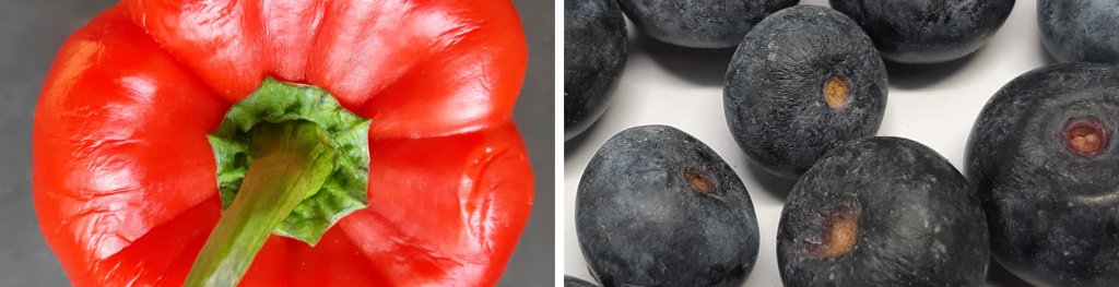 How to control water loss of horticultural produce during storage