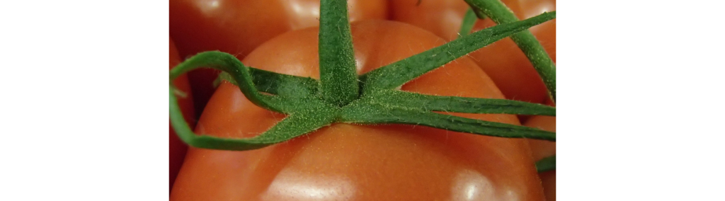 How to influence water loss of horticultural produce in storage rooms