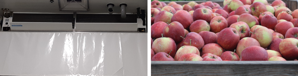 Humidification in storage, necessary or not?