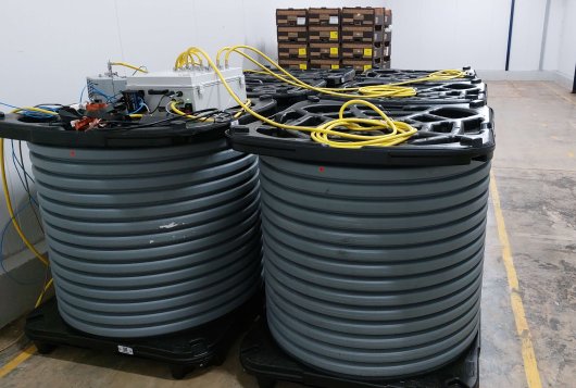 Hypobaric storage of fresh produce and flowers