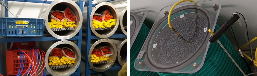 Hypobaric storage of fresh produce and flowers