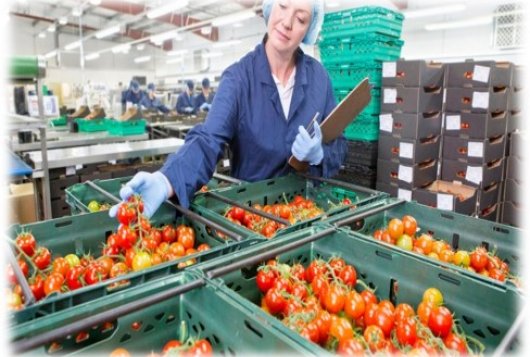 Keurmeester van de toekomst