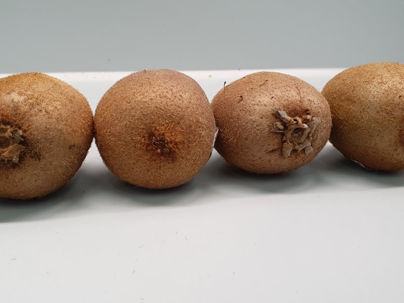 Kiwi - NIR measured on skin or flesh