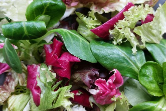 LED there be light for fresh-cut lettuce