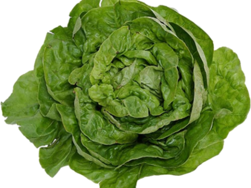 LED there be light for fresh-cut lettuce