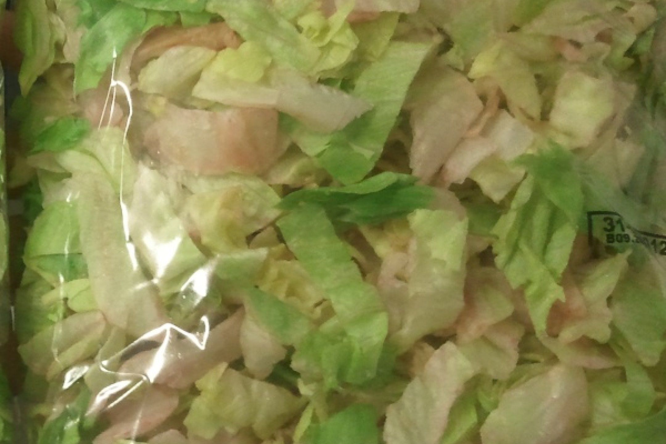 Lettuce disorders and diseases