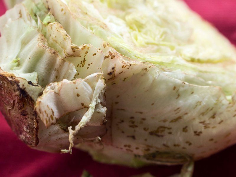 Lettuce disorders and diseases